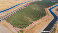 ±72.00 Acres - Cottonwood Road (Gustine, CA)