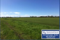 ±38.38 Acres - Hanns Ranch (Gridley, CA)