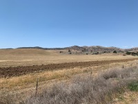 ±1,231.80 Acres - Olney Ranch (Maxwell, CA)