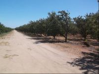 ±20.00 Acres - Cobb Property (Winton, CA)