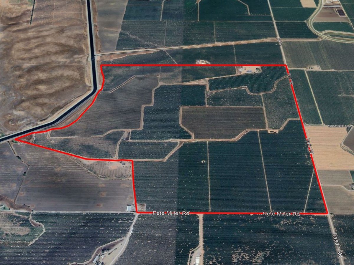 ±644.64 Acres - Van Elderen Bros Newman Ranch (Newman, CA)