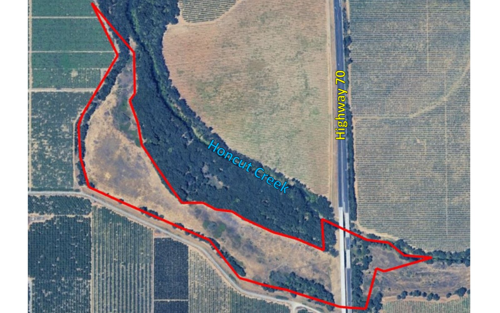 ±61.29 Acres - Honcut Creek Cropland / Riparian Corridor (Yuba County)
