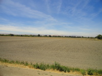 ±251.63 Acres - Mendonca Dairy Property (Crows Landing, CA)
